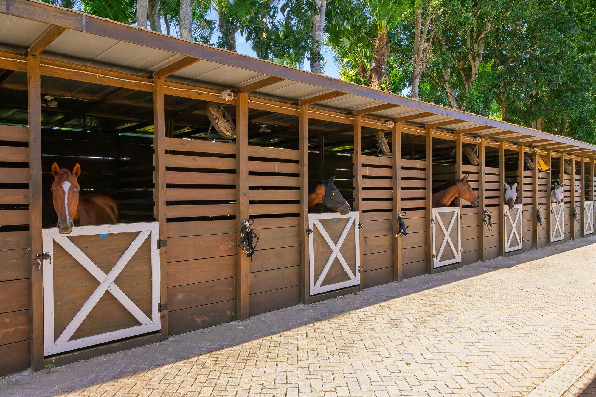 LAS PALMAS EQUESTRIAN - Residential Lease