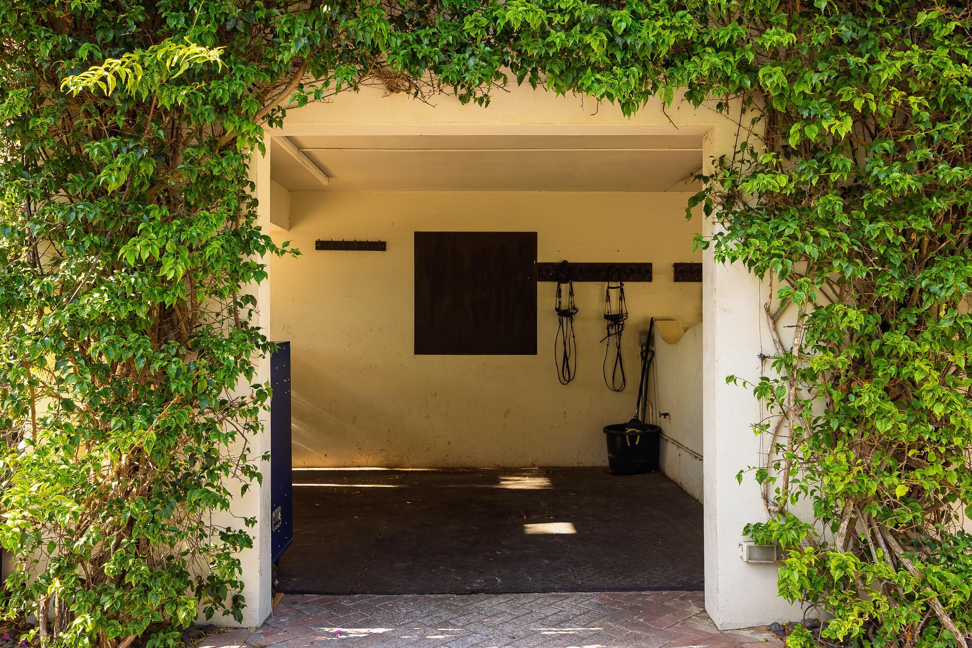 LAS PALMAS EQUESTRIAN - Residential Lease