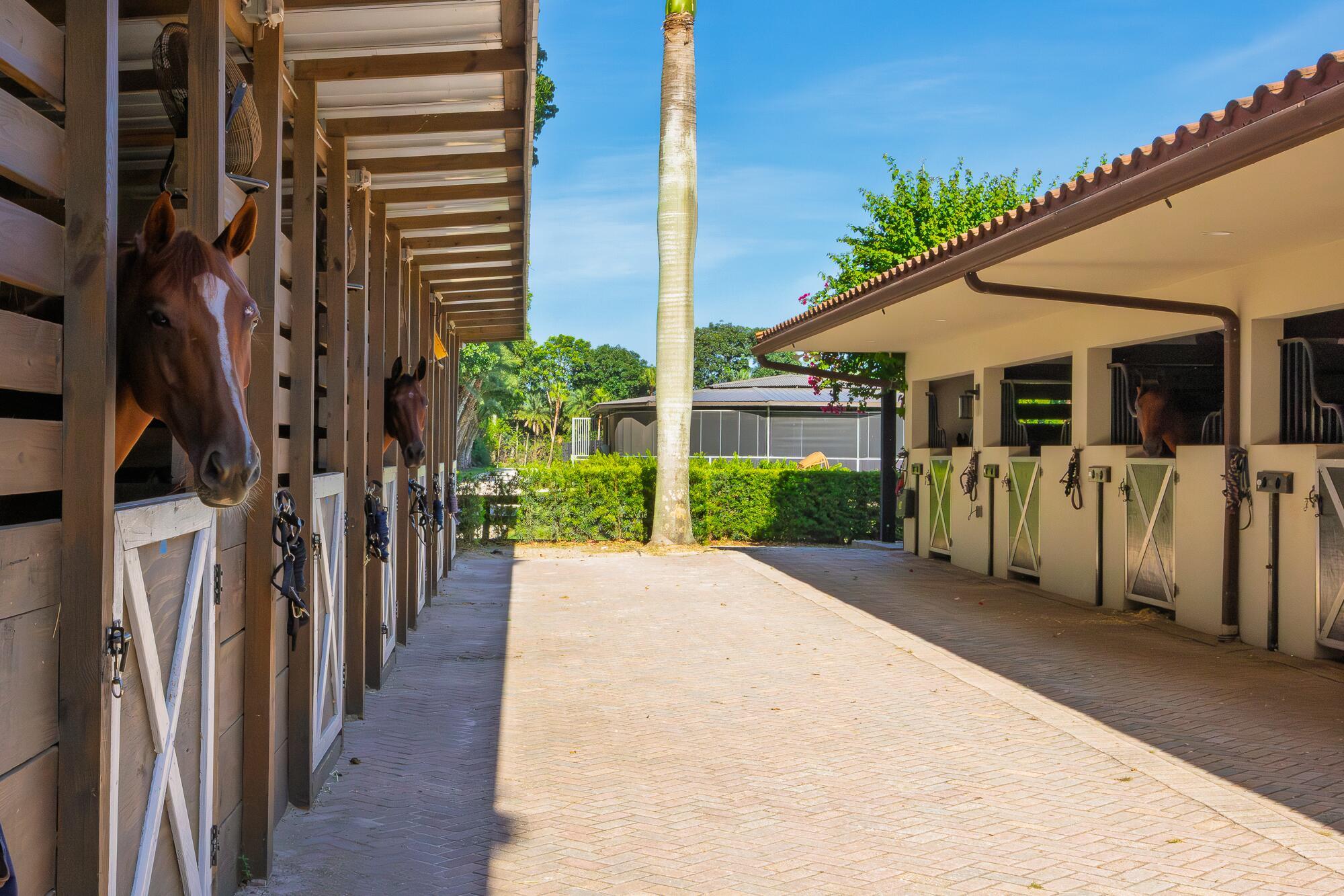 LAS PALMAS EQUESTRIAN - Residential Lease