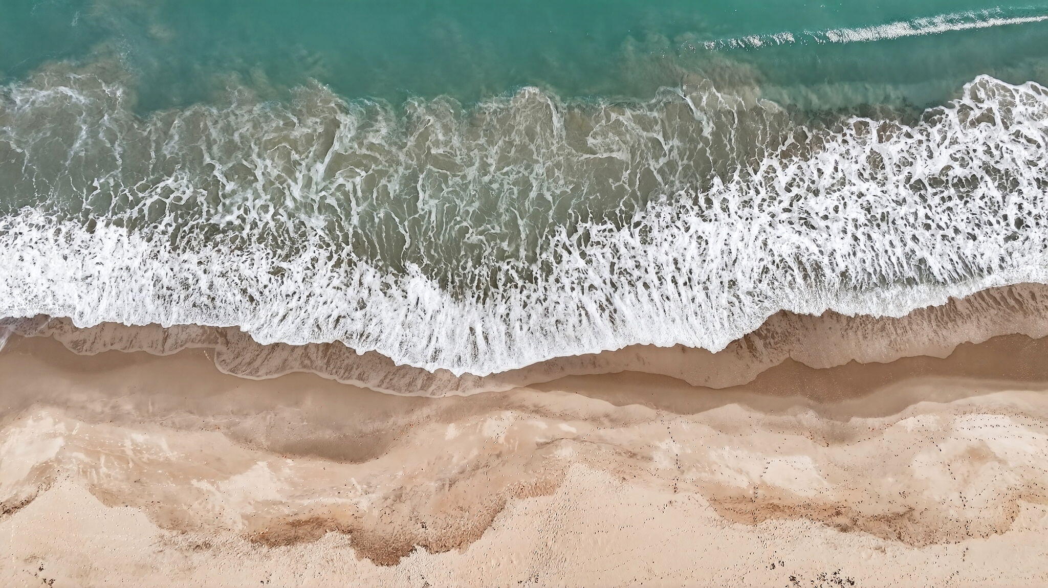 BRYN MAWR OCEAN TOWERS, A CONDOMINIUM - Residential