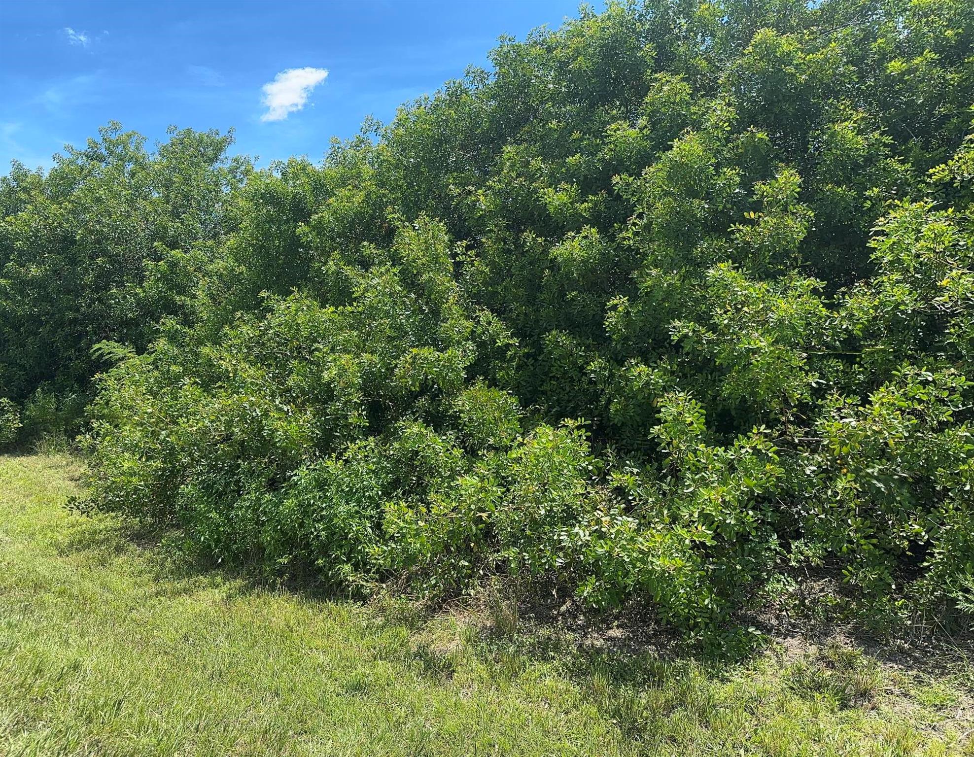 Beautiful oversize corner Lot in the beautifully developed Tradition area (some commercial zoning on the same block.... if that is ideal check with the city/county). Super Growing area ,design your vision from start to finish. Do not miss the opportunity.