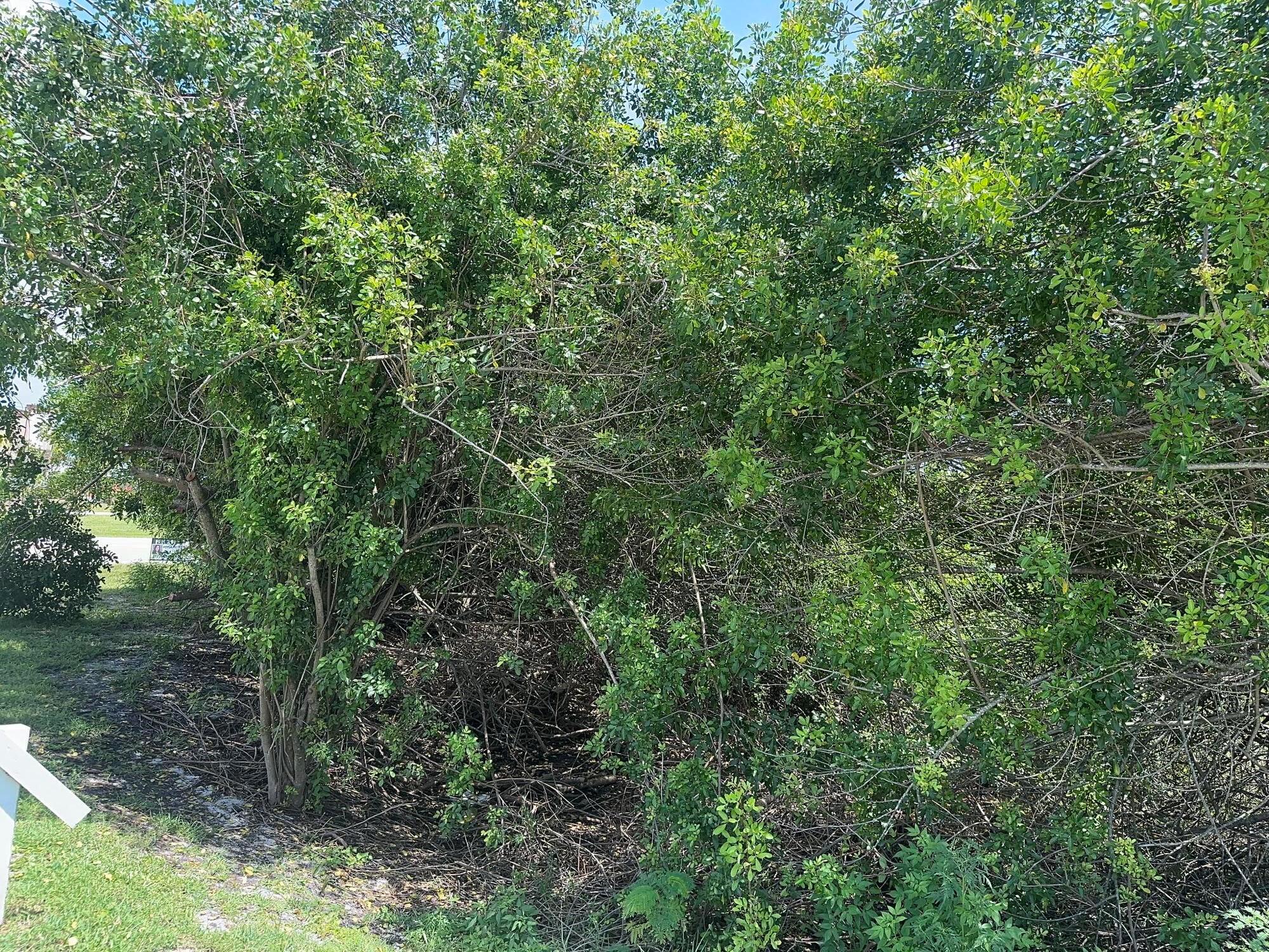 METES AND BOUNDS - Land