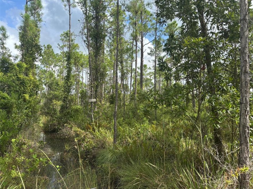 Full 1.26 acre River Ranch lot in the camping section. Owner financing available with only $1500 down