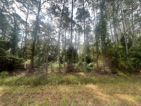 107 Pine Avenue Georgetown FL 32139