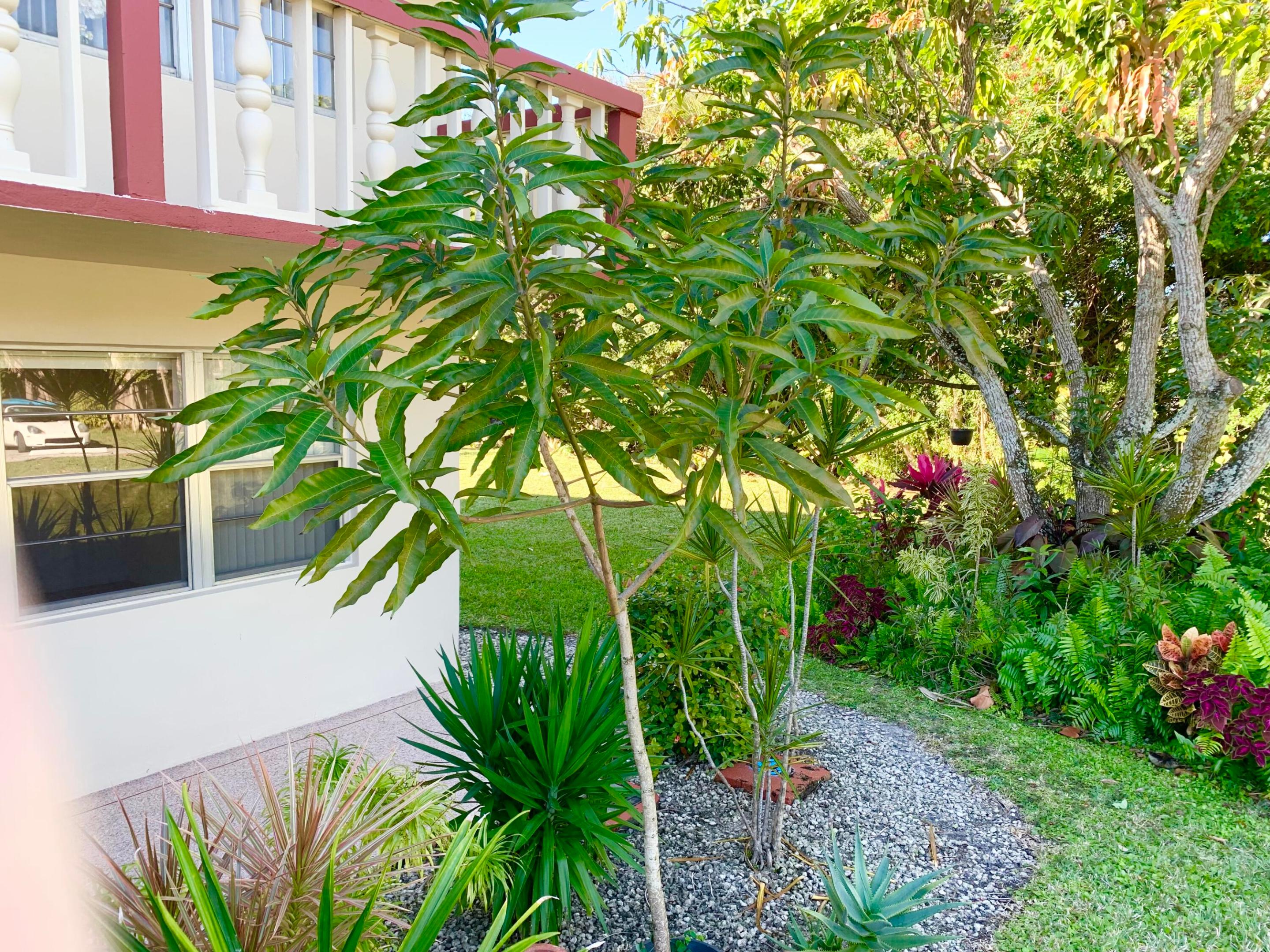 CENTURY VILLAGE - Residential Lease