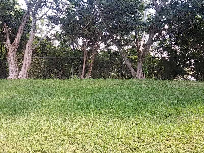 COURTYARDS AT THE GROVE - Residential