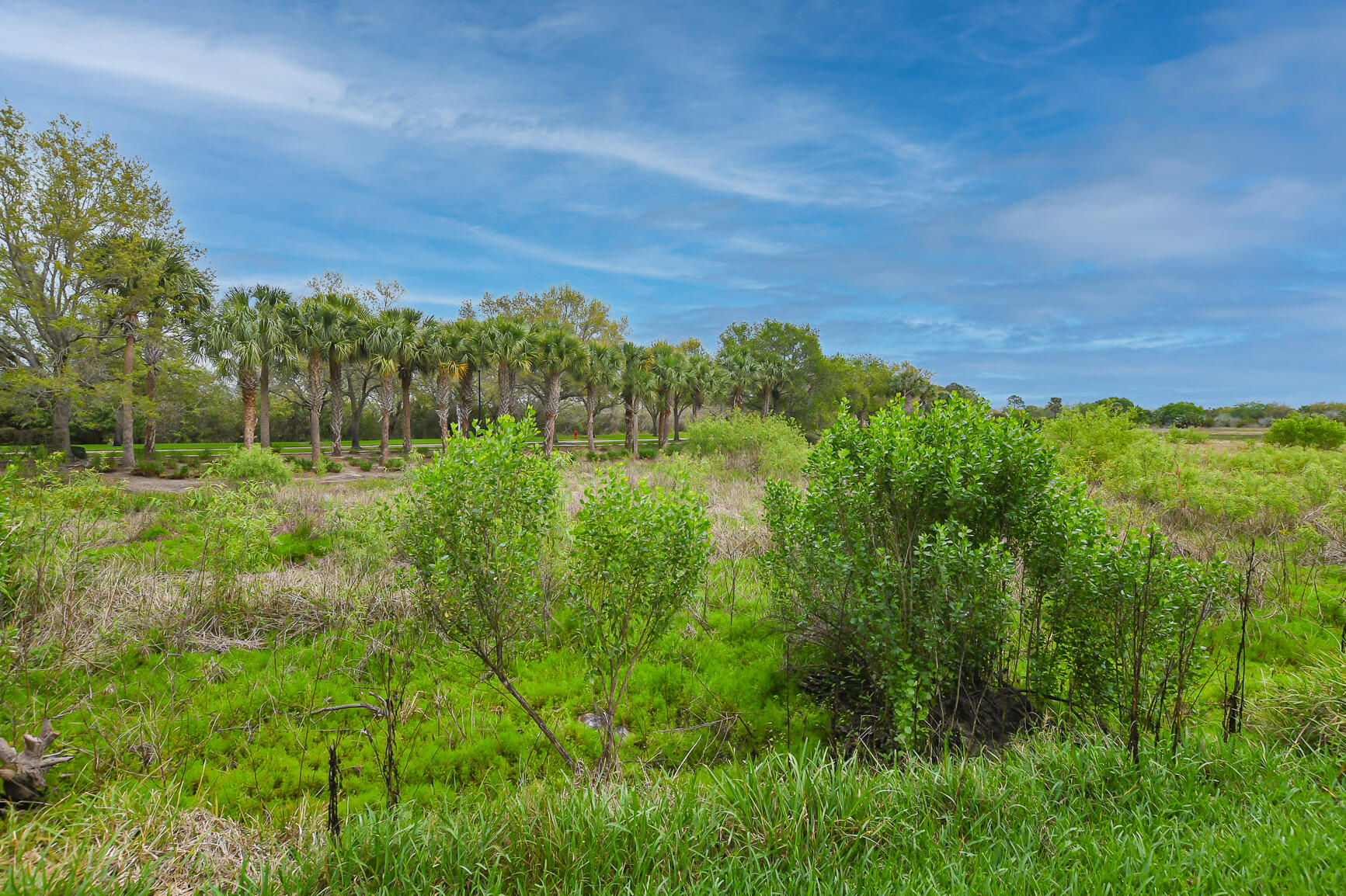 TRADITION PLAT NO 16 - Residential