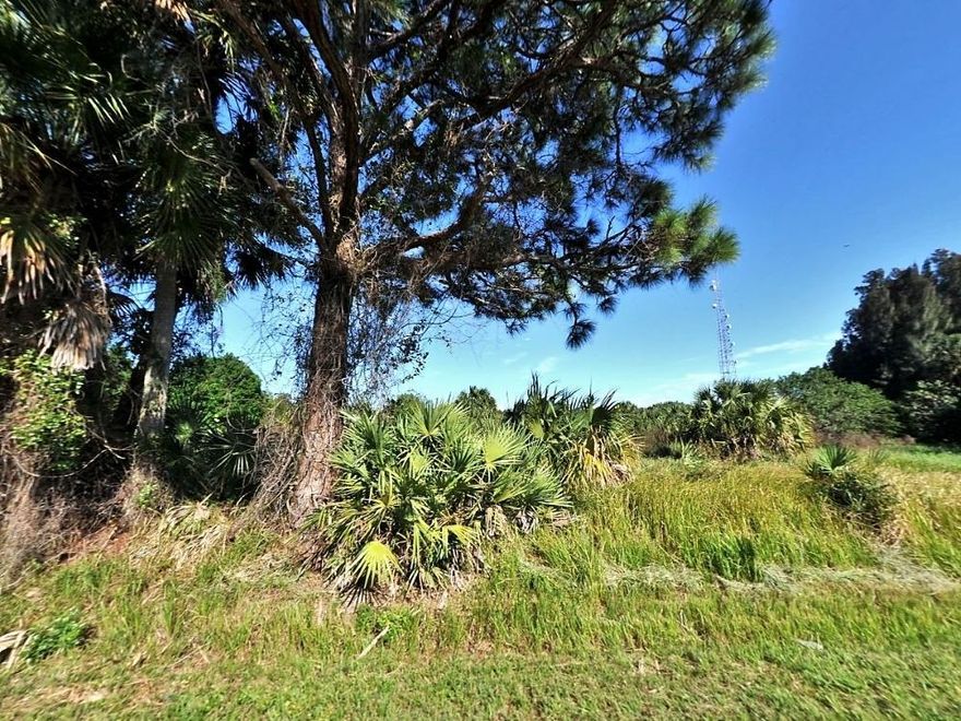 Buildable Lot Priced to sell