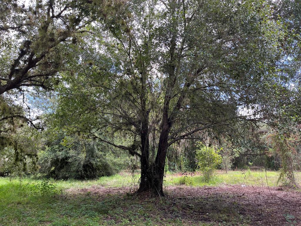 Country living at its best come Build your dream home and barn on this beautiful high dry and private semi clear almost 2.5-acre lot large enough so you can bring your animals too. near Clewiston with shopping, restaurants & fishing. Great location between the east coast & Miami and the Gulf of Mexico to the west. Caloosahatchee River and Lake Okeechobee are nearby PLUS midway between the Florida Keys and Orlando for Walt Disney World. Come to the Country!! owner financing available