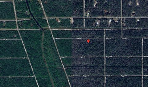 0 Eden Street Hastings FL 32145