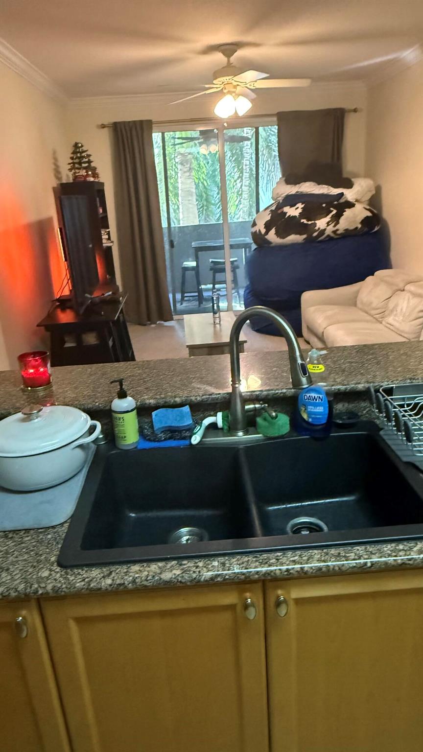 VIZCAYA LAKES CONDO - Residential Lease