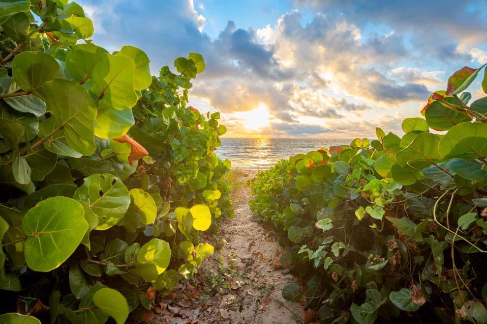 Hillsboro Beach - Residential