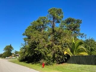 Looking to build your dream home? This beautiful 12,500 Sqft treed lot is located in a lovely quiet neighborhood that is close to shopping, restaurants, schools and churches. There is easy access to I95 or the turnpike. This lot is a must see. Call today!