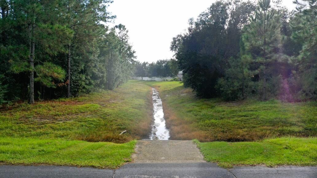 POINCIANA VLG 2 NBHD 1 - Land