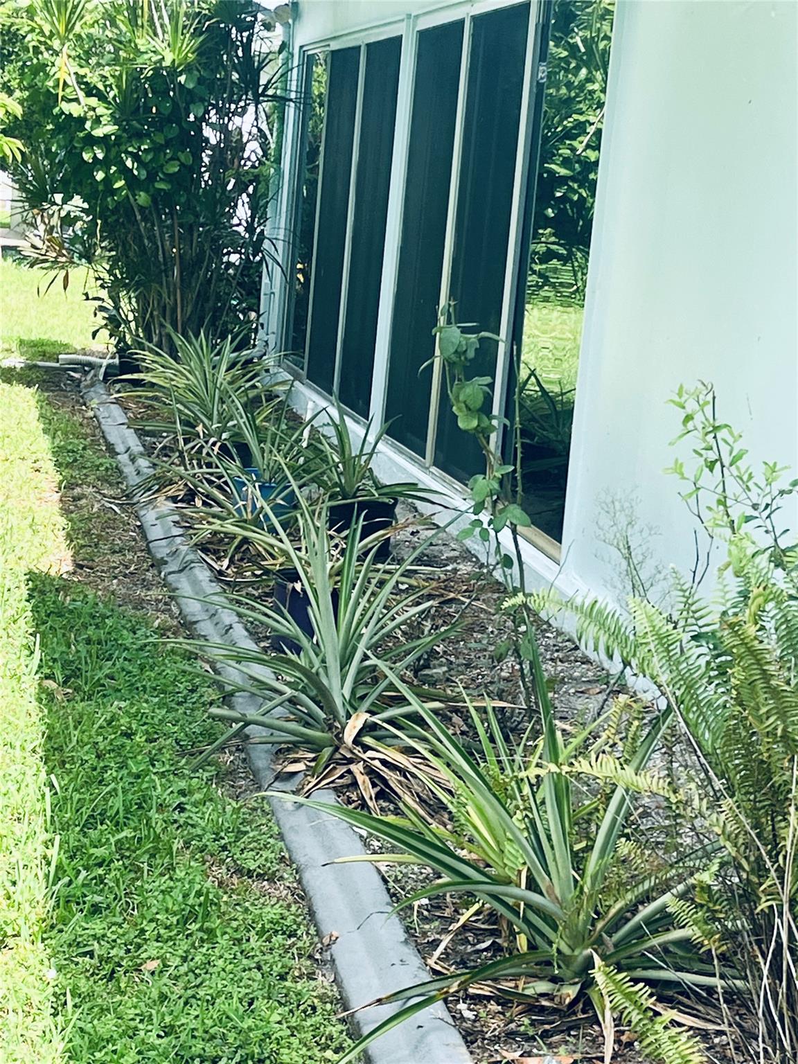 Mainlands Of Tamarac Lake - Residential
