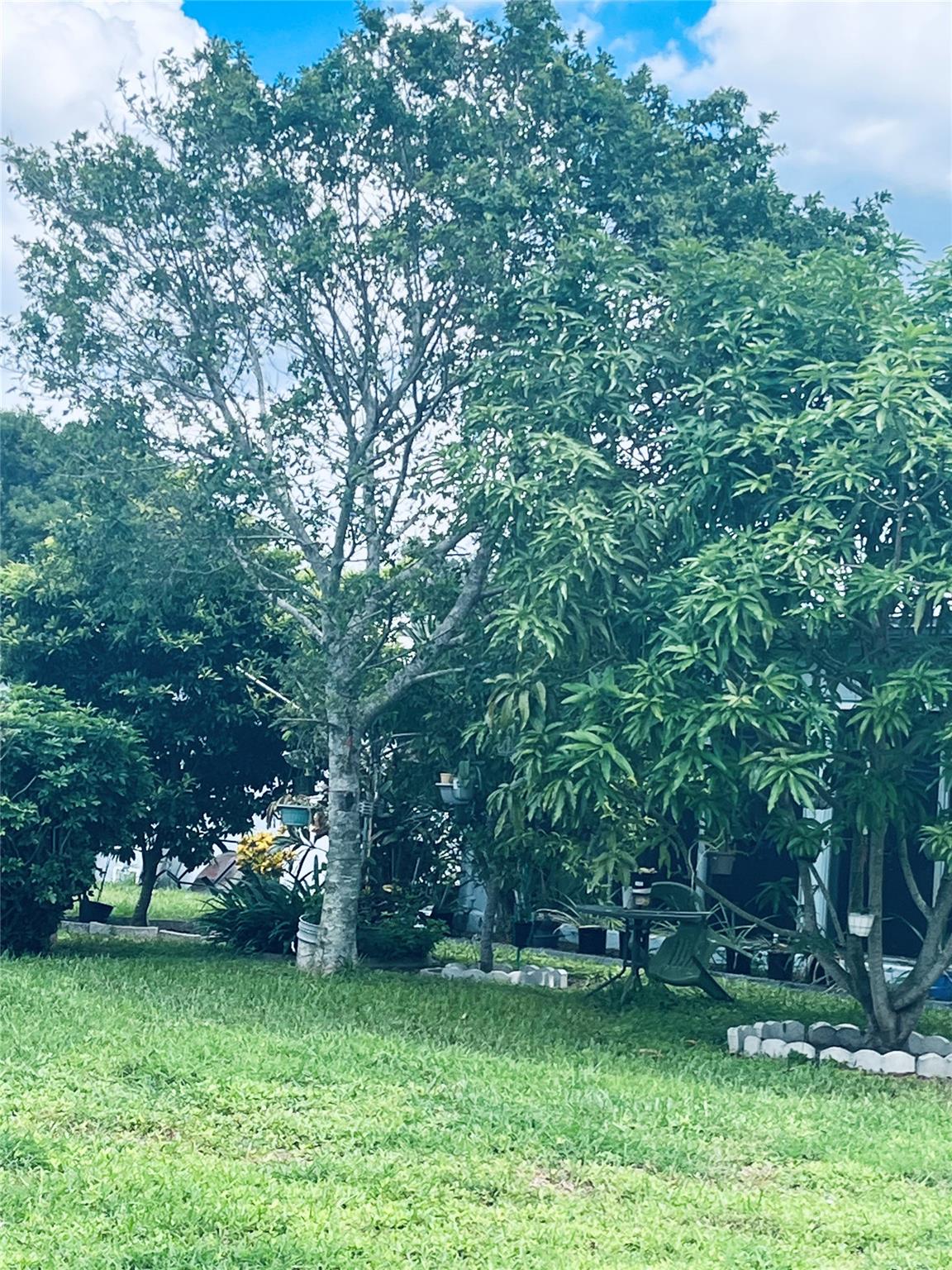 Mainlands Of Tamarac Lake - Residential