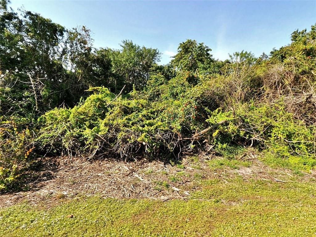 Photo of 4290 SW Jive St, Port Saint Lucie, FL 34953 (MLS # F10328381)