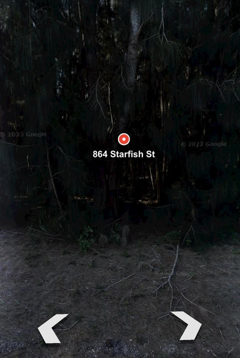 864 Starfish Street Palm Bay FL 32908
