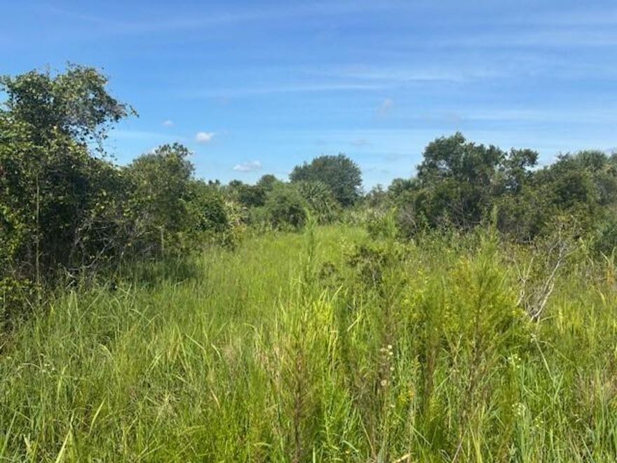 1.25 acre lot in Viking Estates. Close to the Kissimmee Prairie State Park. Bring your 4 -wheelers. This property is not only ideal for recreational uses such has camping, hunting and shooting, but it’s agricultural as well. 
Owner finance with only $2500 down