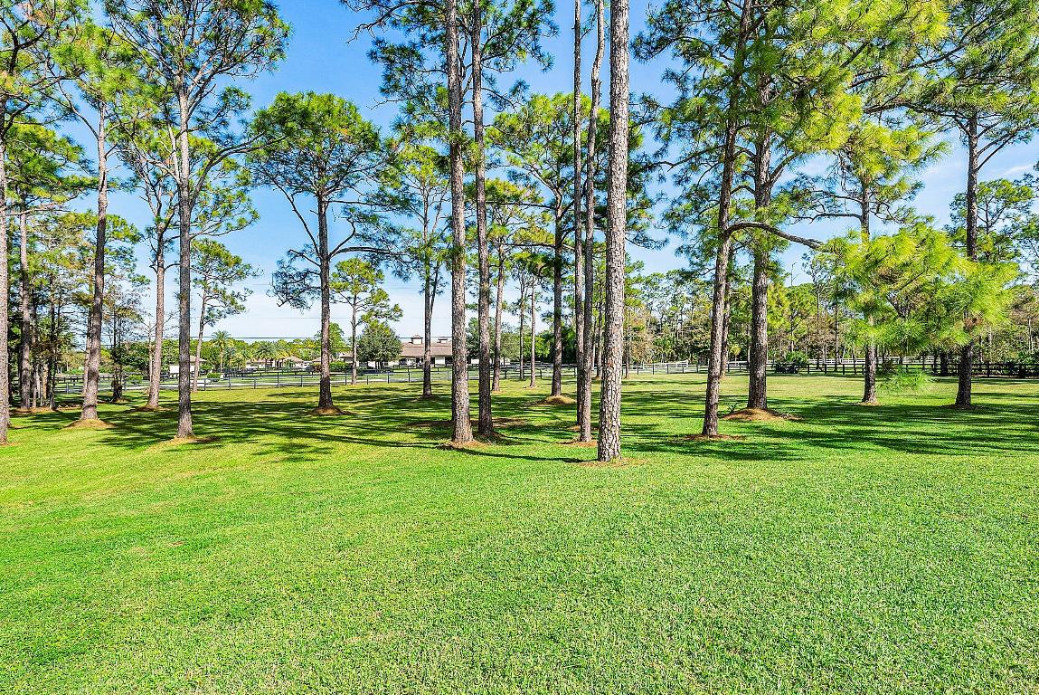 11230 Alligator Trail