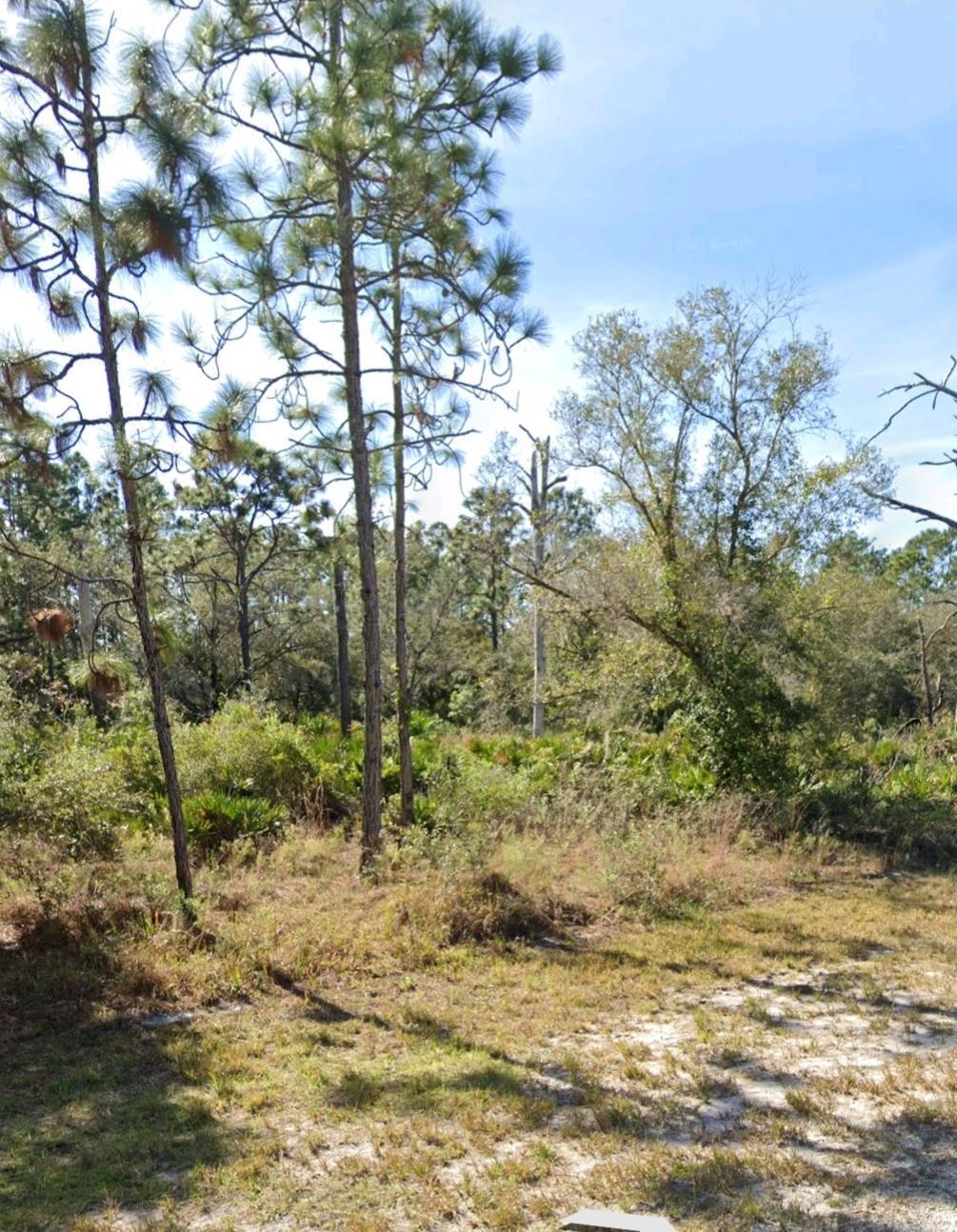 INDIAN LAKE ESTATES UNIT 09 REVISED - Land