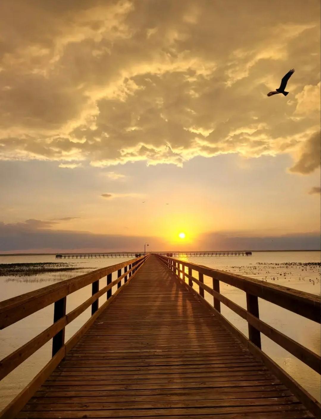 INDIAN LAKE ESTATES UNIT 09 REVISED - Land