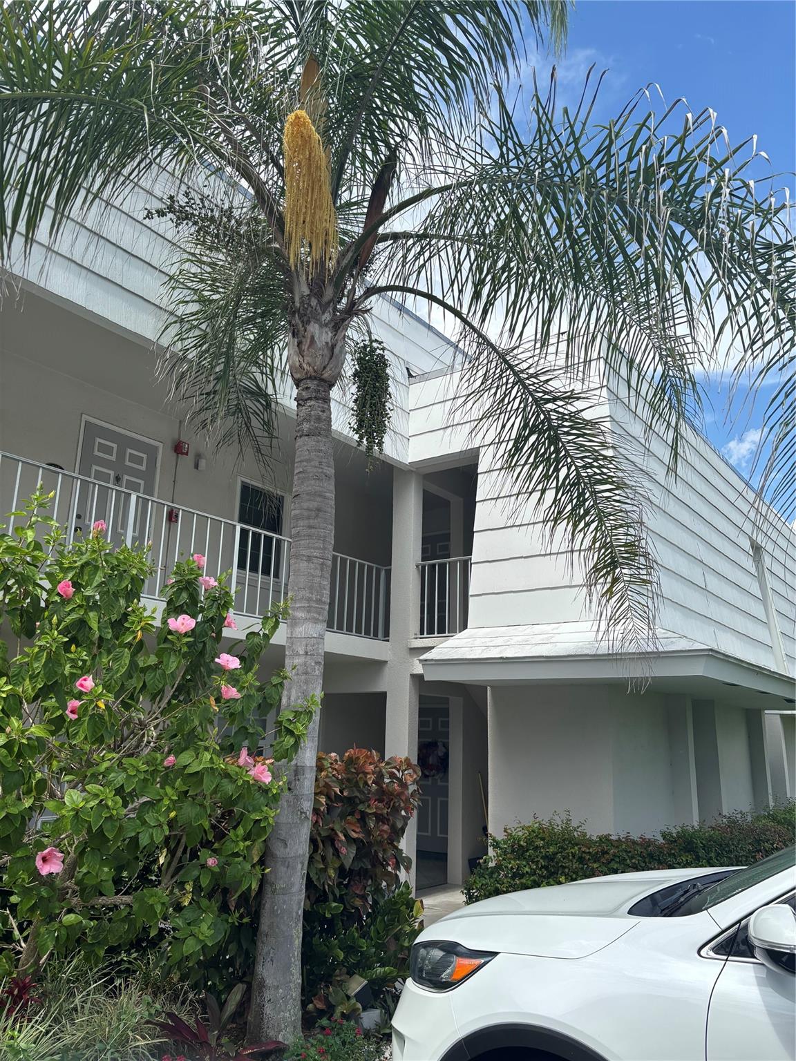 Top floor corner unit available for off-season 2025 or winter season 2026. Sleeps up to 10! 3 month minimum and over 55 years old community right across from the beach. Private complex pool with lot’s of lounge chairs in the sun and shade, Tennis and Pickle Ball. Very Large corner unit has 3 bedrooms (one is a sitting room with a convertible sofa bed). Open floor plan with Granite counter tops. Come play on Singer Island! You can be in the kitchen and see all the way to the balcony. Great Entertaining space. Ample guest parking. Near great restaurants, shopping, beaches, mall, etc. only 20 minutes from Palm Beach Airport. Guests of tenants do not need to be over 55.