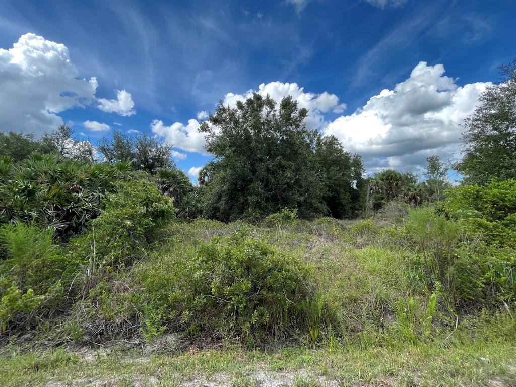 VIKING/PRAIRIE - Land