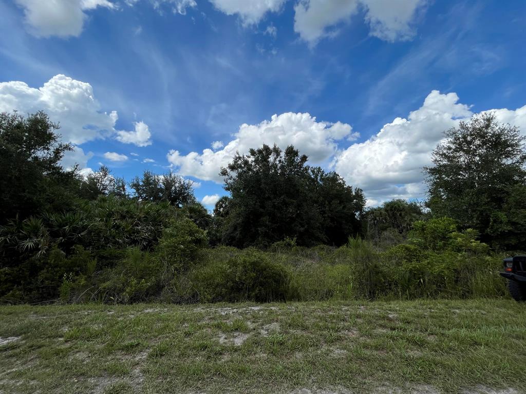 VIKING/PRAIRIE - Land