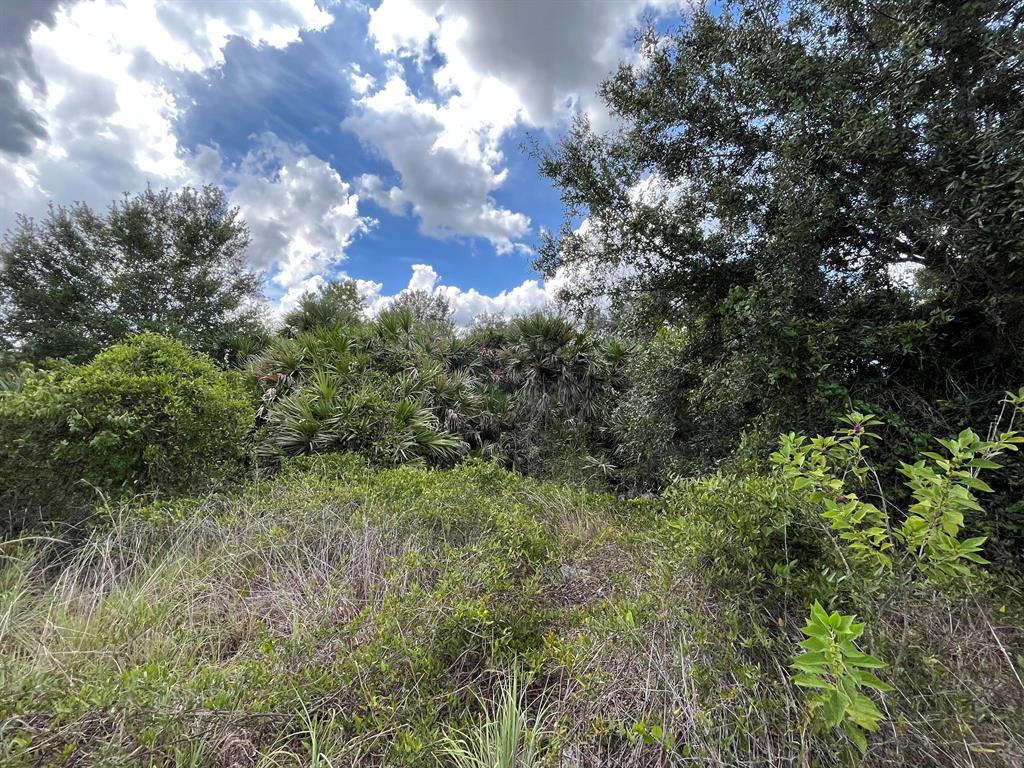 VIKING/PRAIRIE - Land