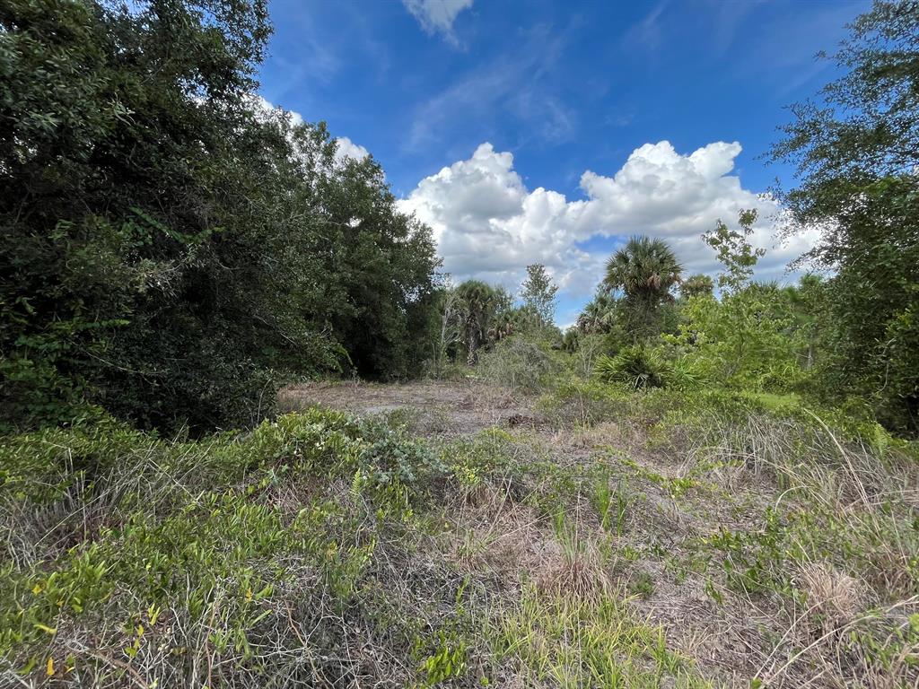 VIKING/PRAIRIE - Land