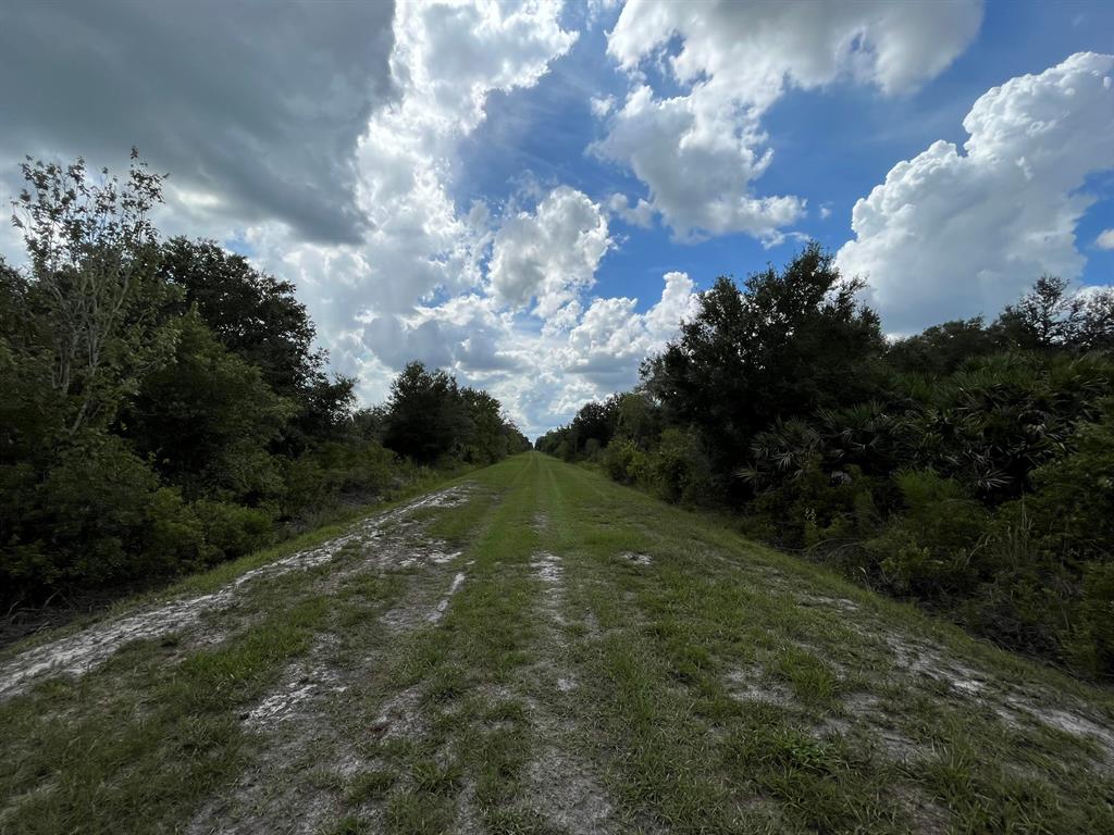 VIKING/PRAIRIE - Land