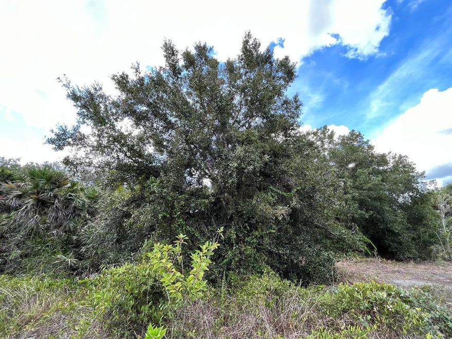 Build or bring your dream home and barn on this beautiful and private high and dry 1.25 acre just off the main paved road. There are power poles on this street making it easy to get power to your new home. there is so much to enjoy in Okeechobee County. Come to The Kissimmee River Preserve State Park West of this area as well is the Kissimmee River. The Kissimmee River flows into Lake Okeechobee and is well known for some of the best fishing. whether you like Fishing, hunting, mudding agriculture or just privacy here you have it all. Owner Financing available