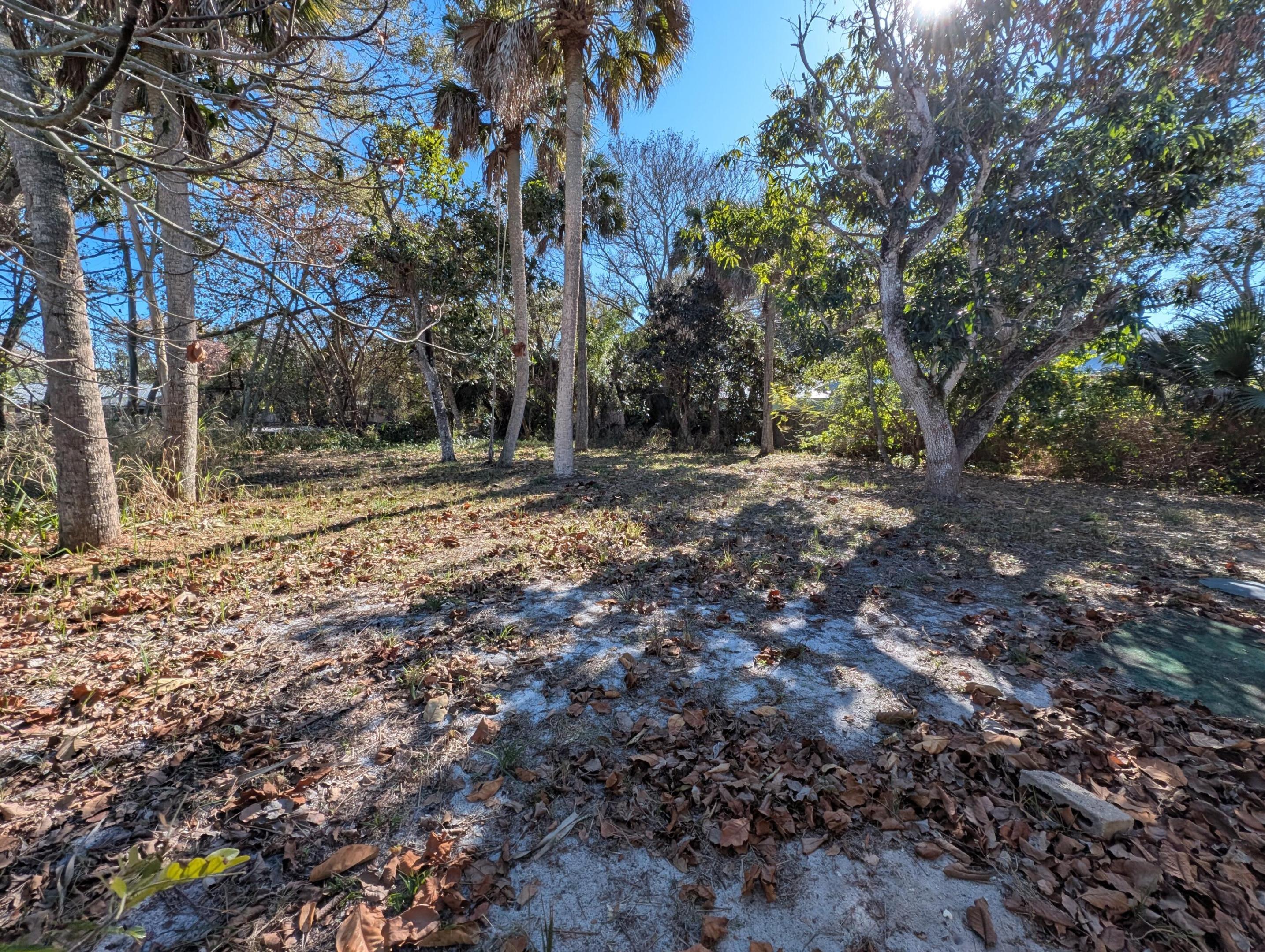 Halpatiokee Park - Land