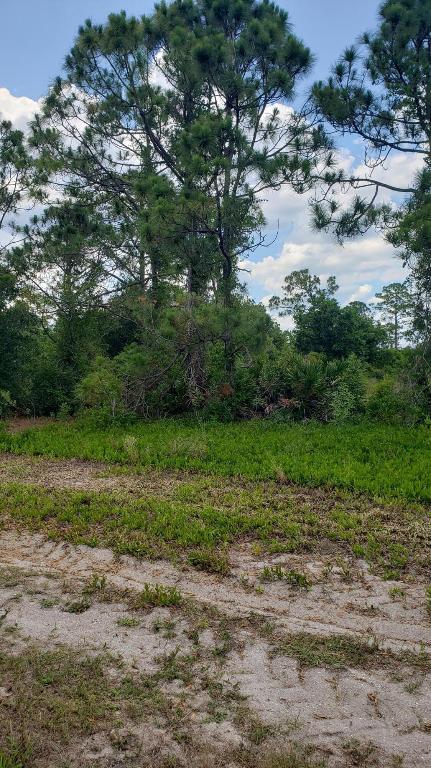 PLACID LAKES SEC 20 - Land