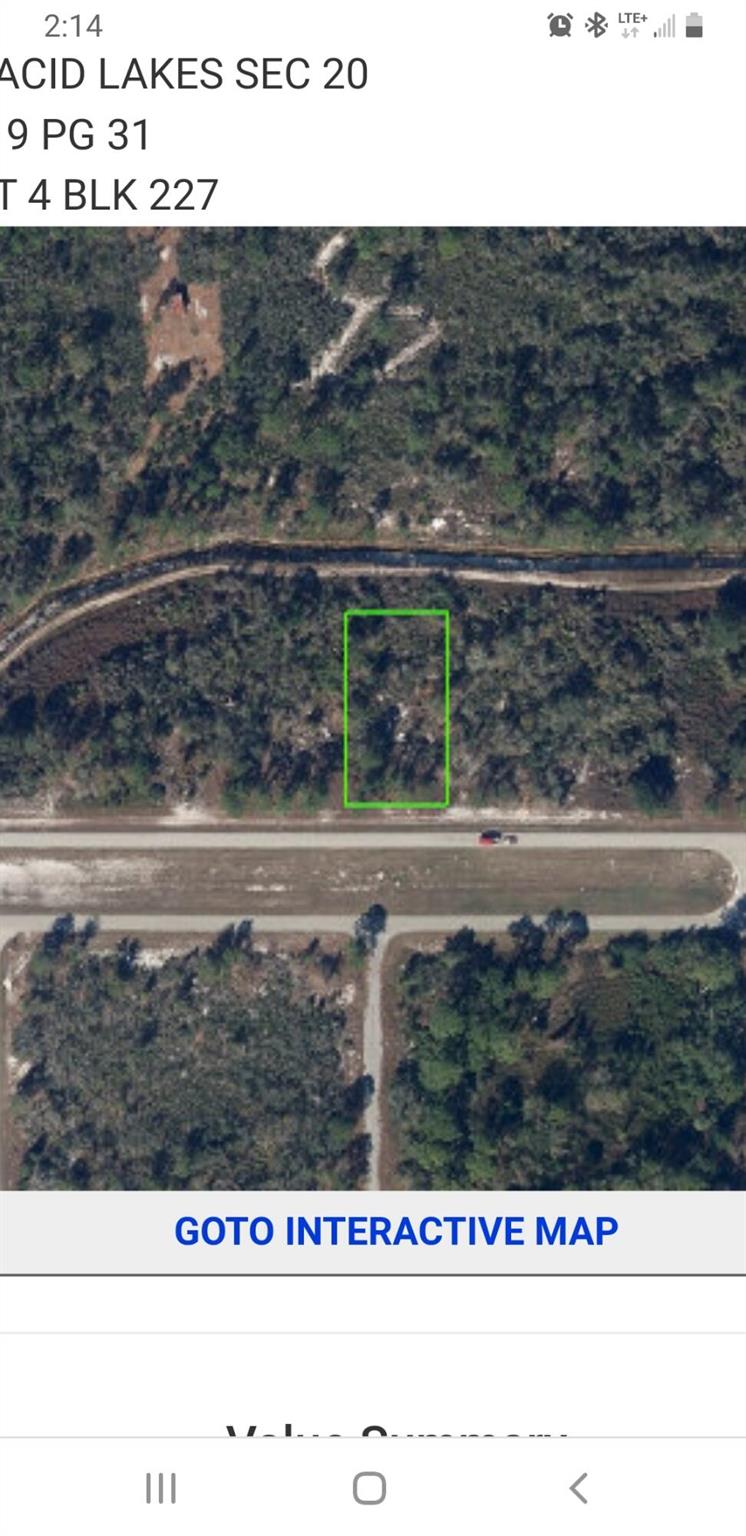 This lot is 100 wide and 190 deep. Faces south.Plenty of Trees to allow privacy, once you build your dream home. At this time a well will be needed for water. Electric pole is 100'' away. Natural ravine at the rear of lot. Level lot, high and dry location. Quiet location, road isn't too busy. Minutes to the boat launch. Lake Placid shopping and dining just a few minutes away. Fishing, of course, on several nearby lakes. Airport nearby.