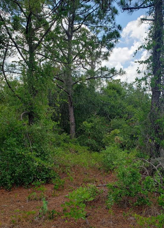 PLACID LAKES SEC 20 - Land