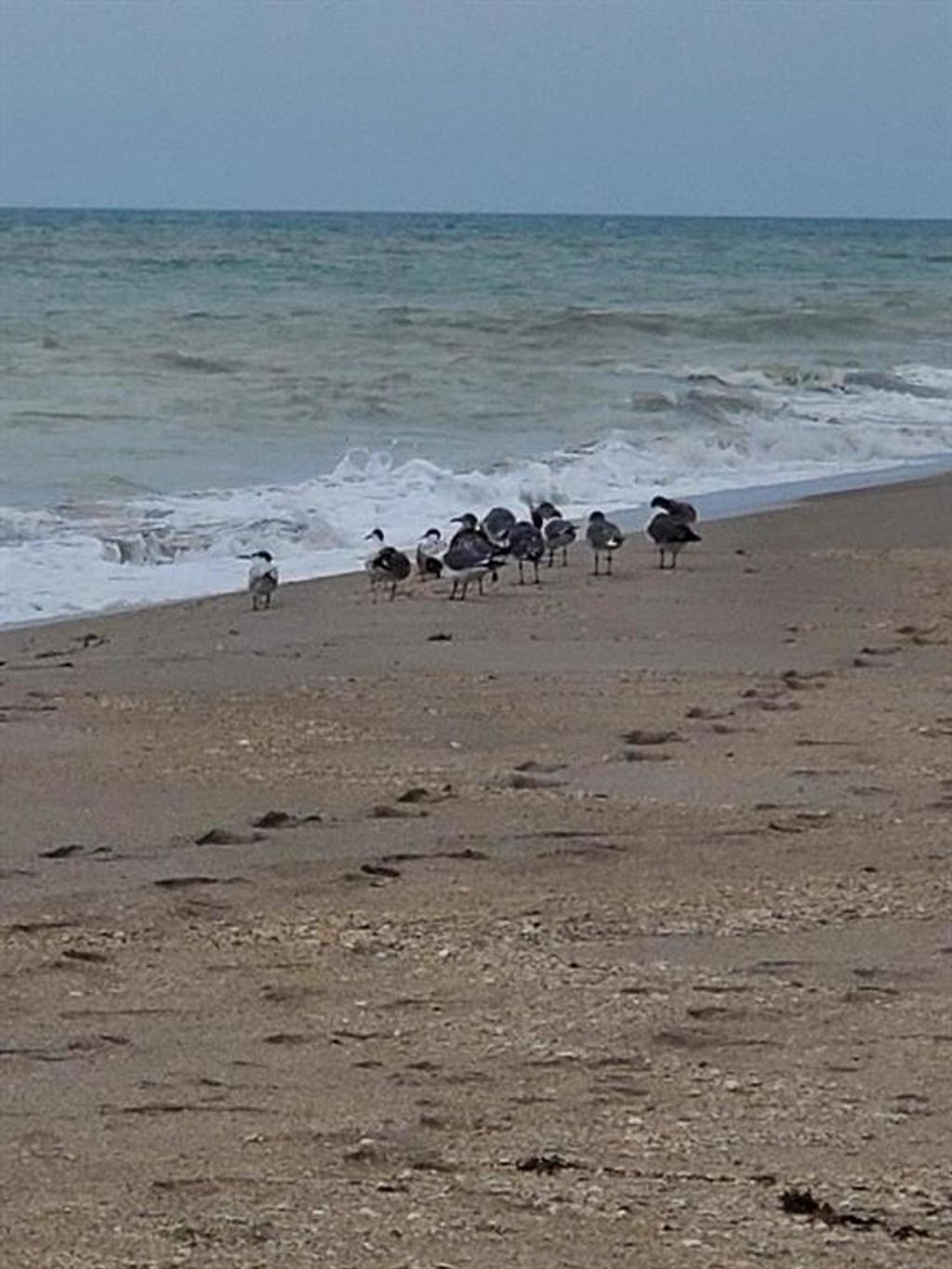 Photo of 355 S Ocean Drive #104, Hutchinson Island, FL 34949 (MLS # R10740500)