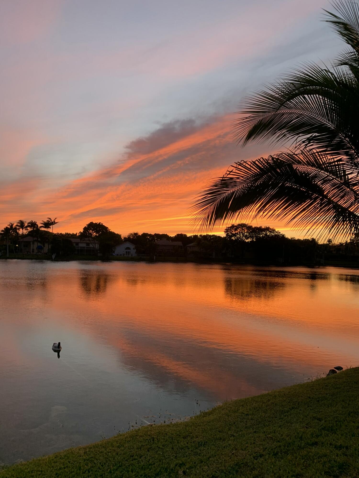 EMBASSY LAKES - Residential