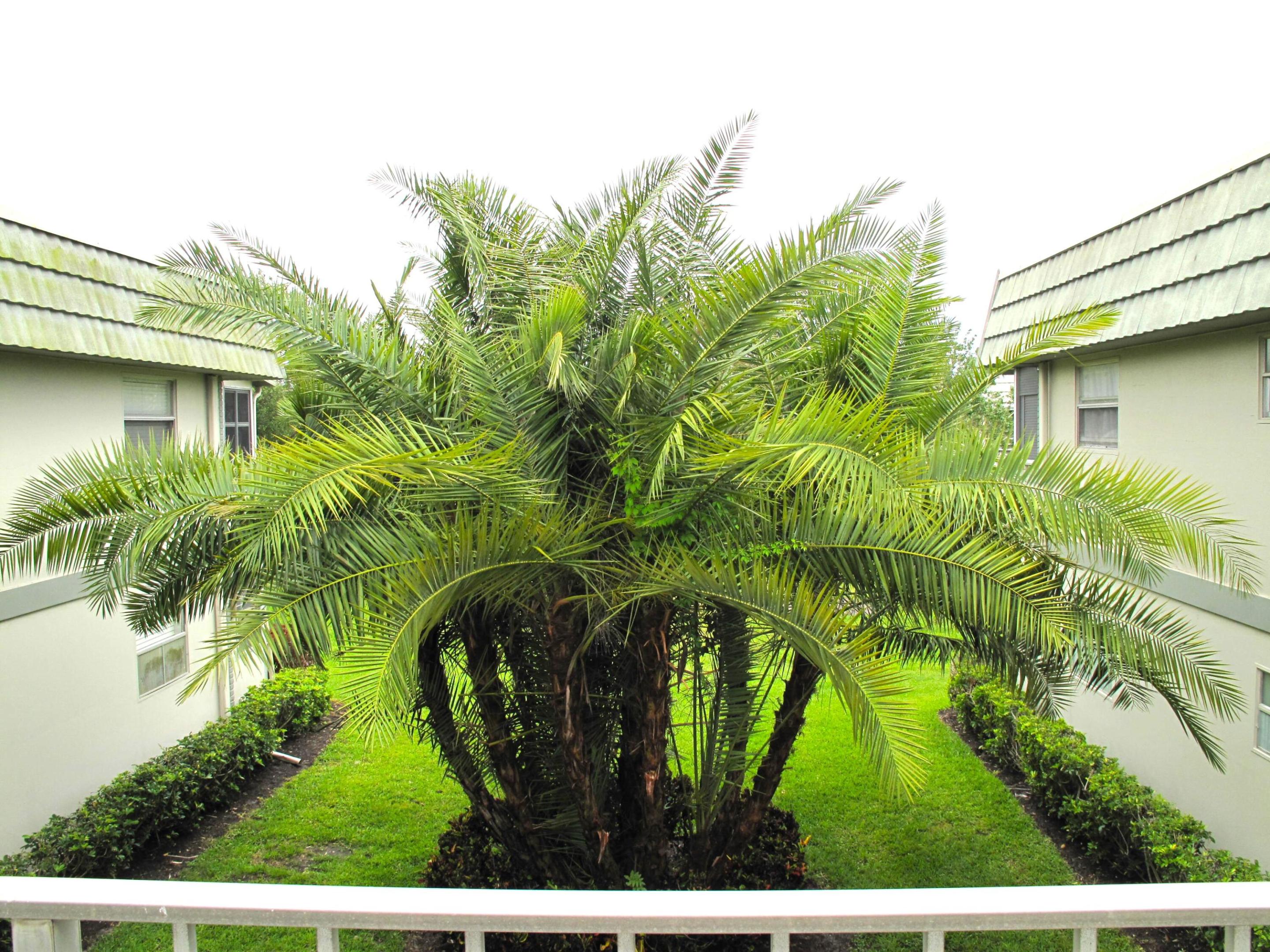 KINGS POINT FLANDERS CONDOS - Residential