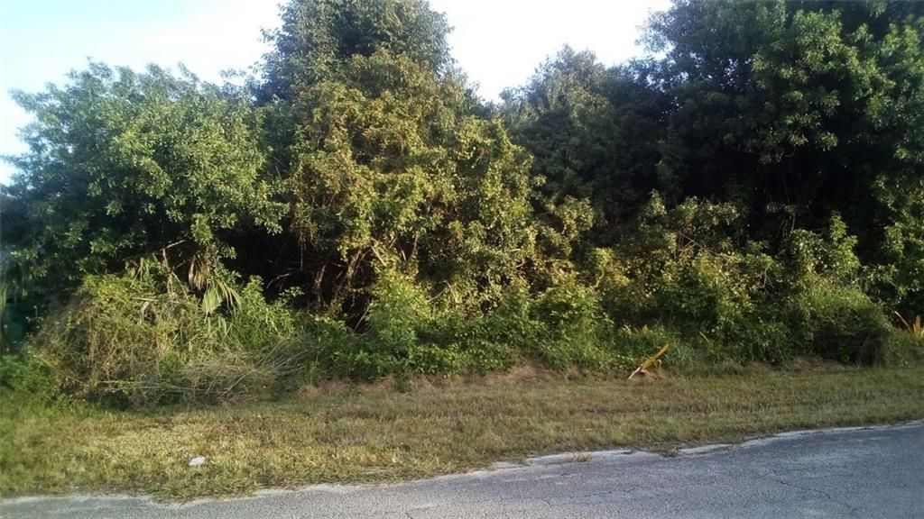 Photo of 475 SW Lakota Ave, Port Saint Lucie, FL 34953 (MLS # F10263272)