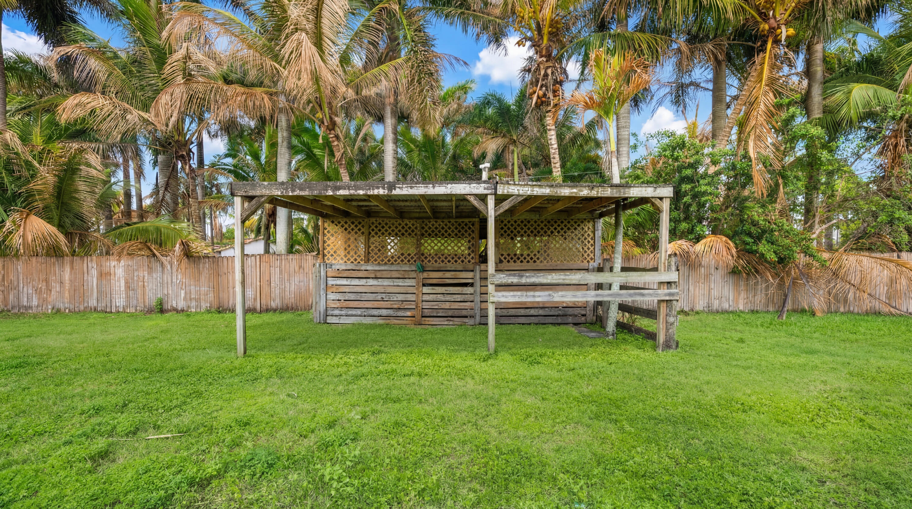 None - Residential Lease