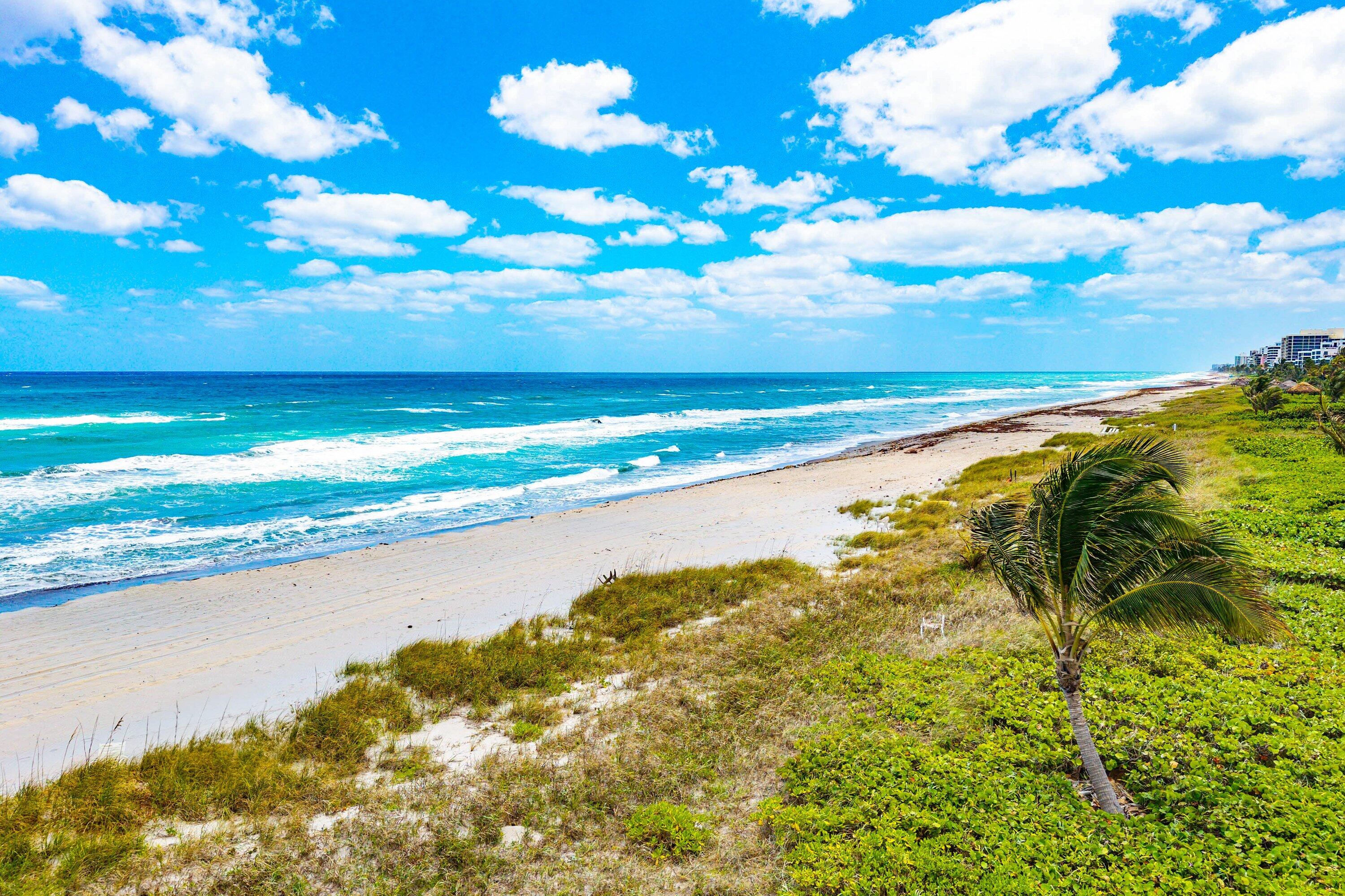 OCEAN PLACE-2155 CONDO - Residential