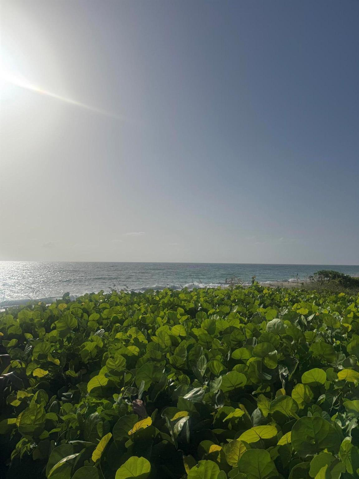 CASTLE PINES CONDOMINIUM - Residential Lease