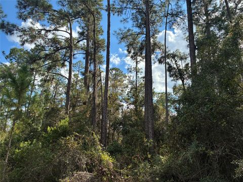 Lot 15, Block 75 Park Ave Indian Lake Estates FL 33855