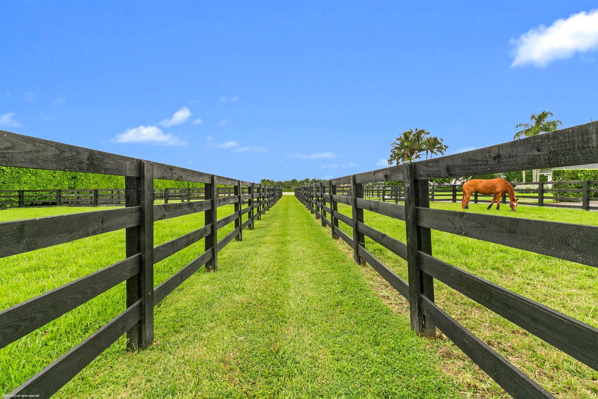 PALM BEACH POINT - Residential