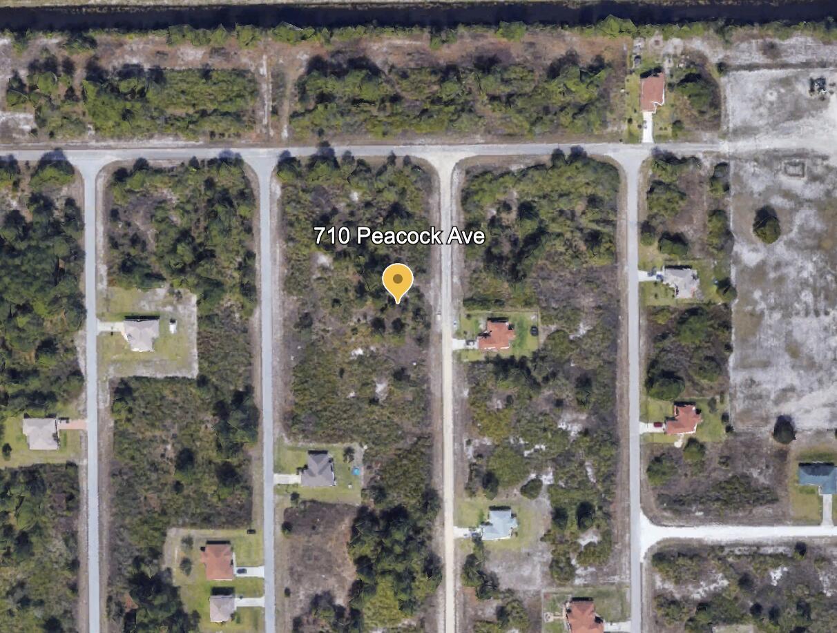 This beautiful half acre lot, located in the growing Lehigh Acres, on the Florida West Coast, close to the beach, stores, restaurants, and more can be the perfect location for your new construction home, with enough space for a pool, extra garage, and much more.