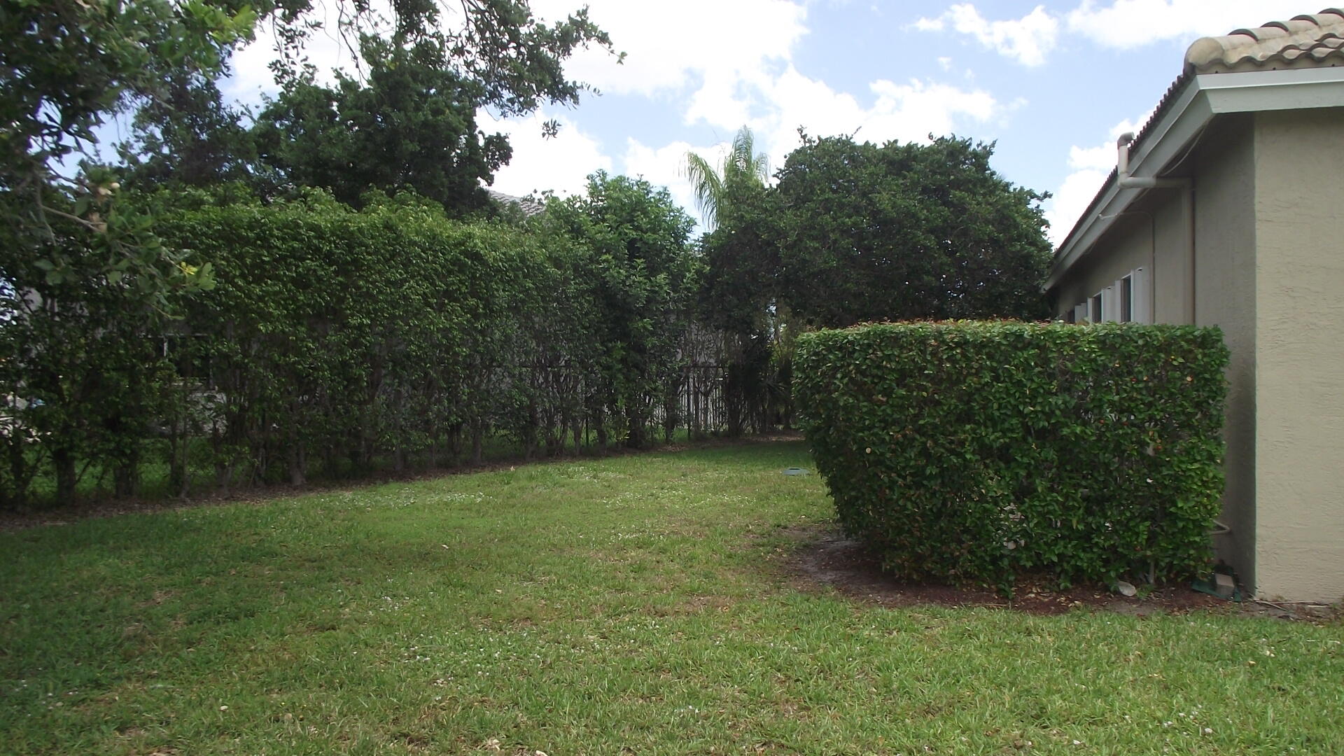 ORANGE POINT 1 - Residential