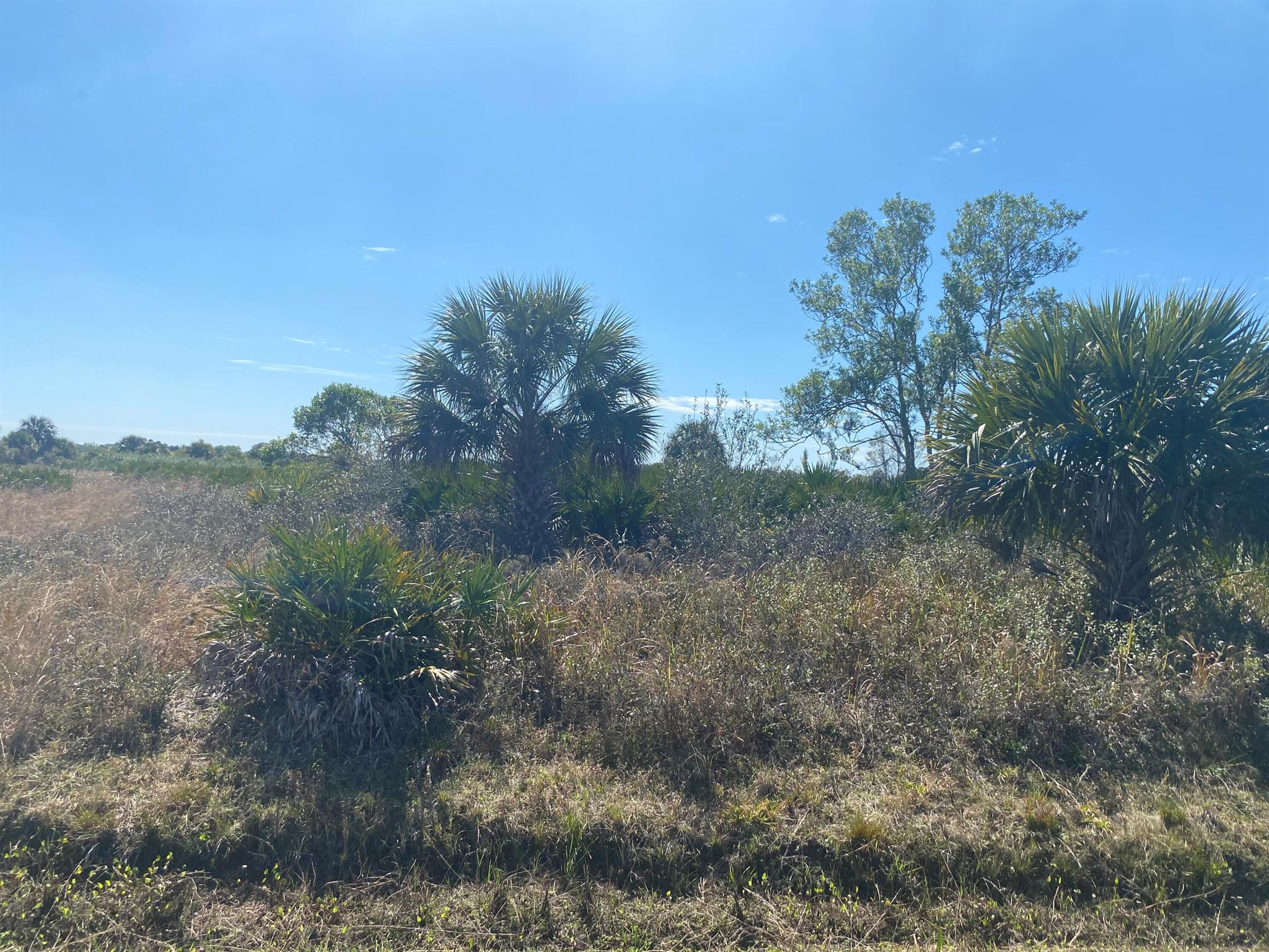 Nice lot in the Viking . No HOA and no wetlands. There is a small section that is in a flood zone that is in the back part of the property. Zoned for single-family residence or mobile homes.
