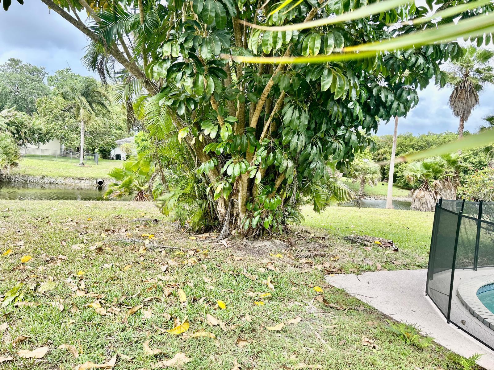 SHADOW WOOD - Residential